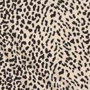 Meet your Posher, Jae